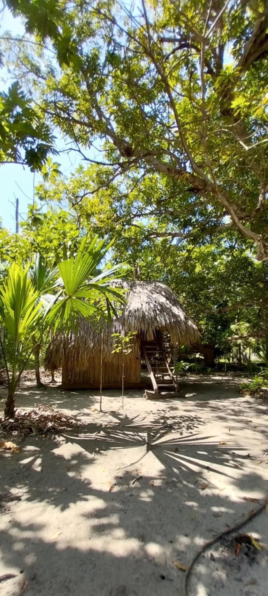Eco-Camping Mango Feliz Rincon Del Mar San Onofre Ngoại thất bức ảnh