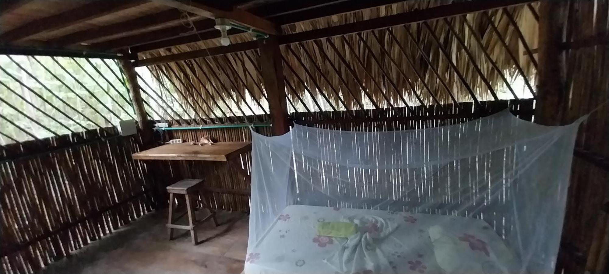 Eco-Camping Mango Feliz Rincon Del Mar San Onofre Ngoại thất bức ảnh