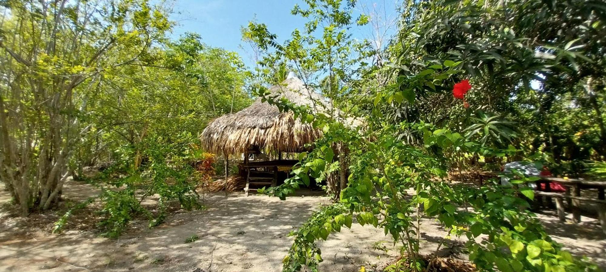 Eco-Camping Mango Feliz Rincon Del Mar San Onofre Ngoại thất bức ảnh