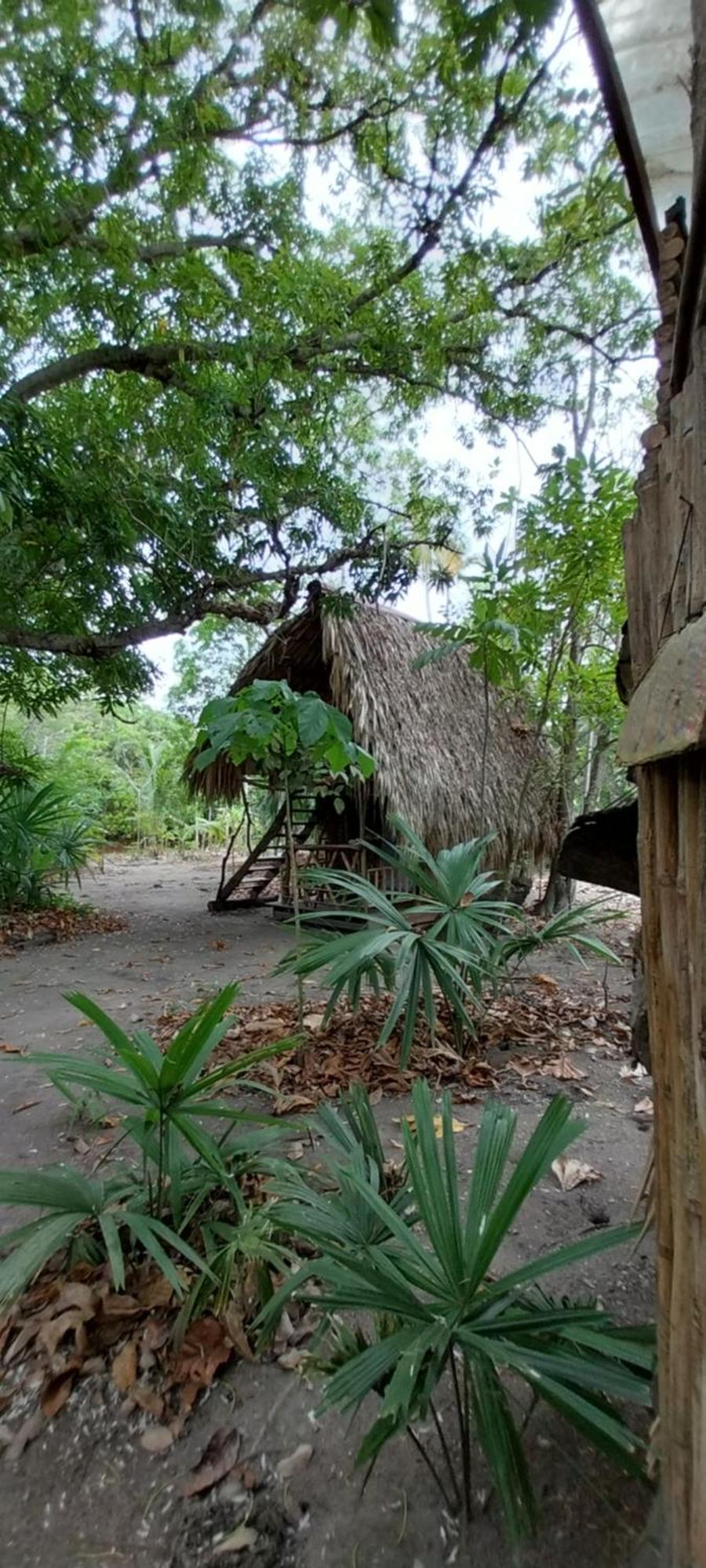Eco-Camping Mango Feliz Rincon Del Mar San Onofre Ngoại thất bức ảnh