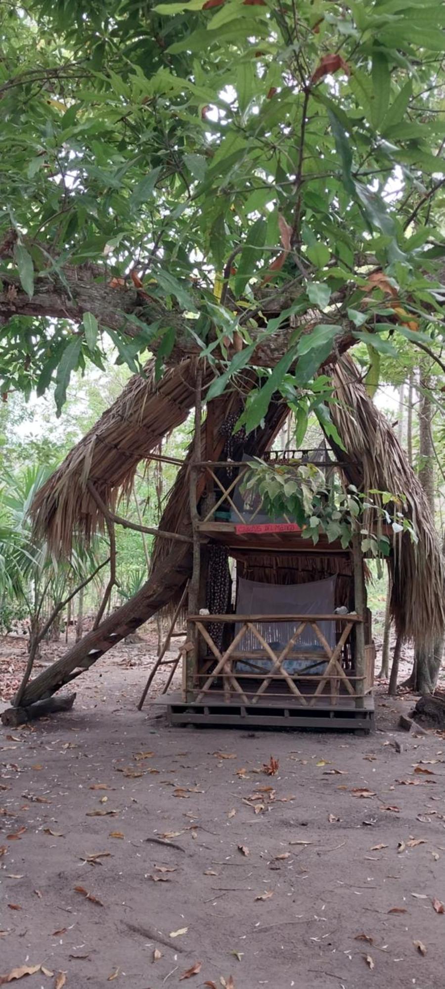 Eco-Camping Mango Feliz Rincon Del Mar San Onofre Ngoại thất bức ảnh