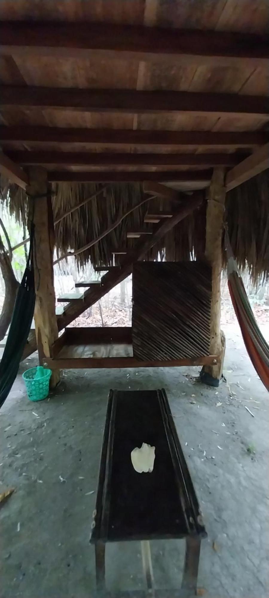 Eco-Camping Mango Feliz Rincon Del Mar San Onofre Ngoại thất bức ảnh